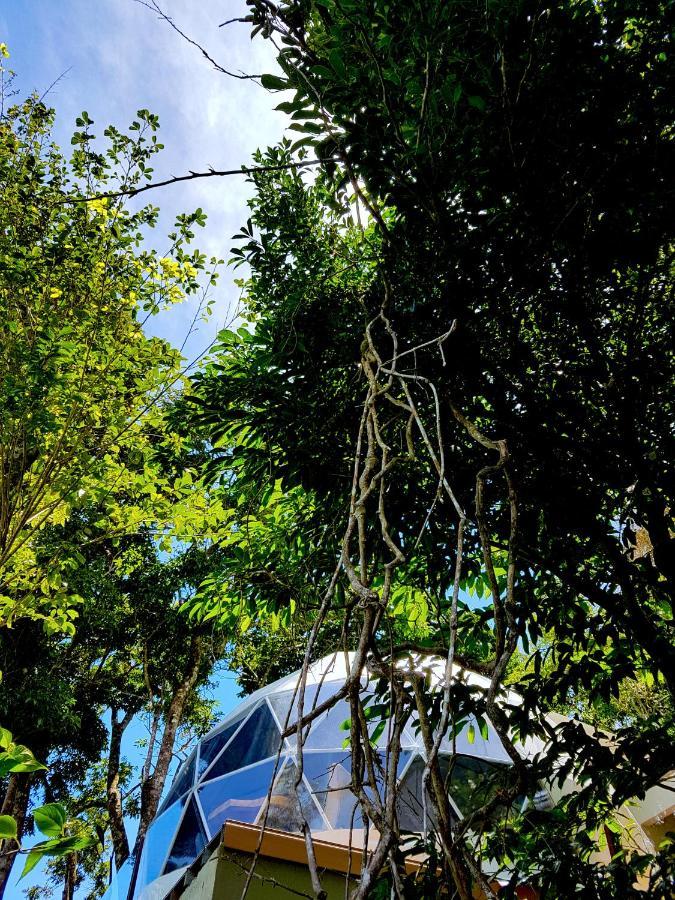 Chira Glamping Resort Monteverde Zewnętrze zdjęcie
