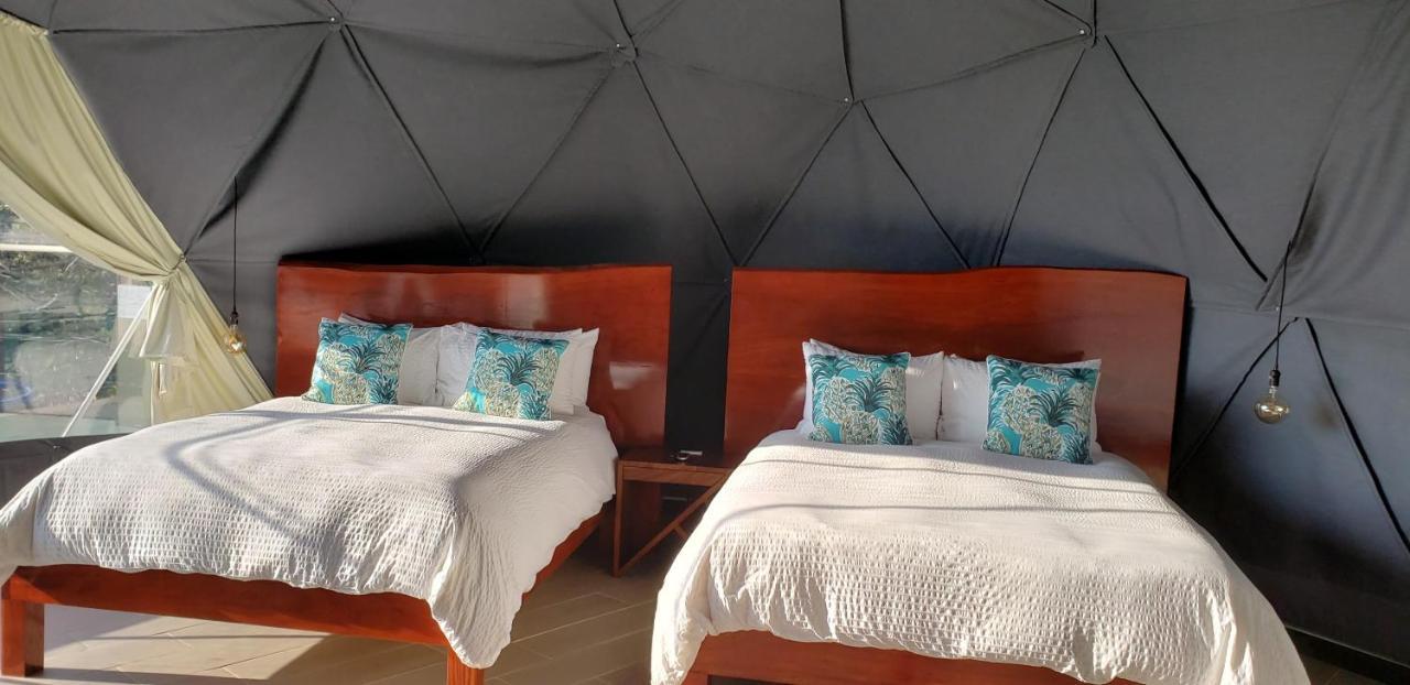 Chira Glamping Resort Monteverde Zewnętrze zdjęcie