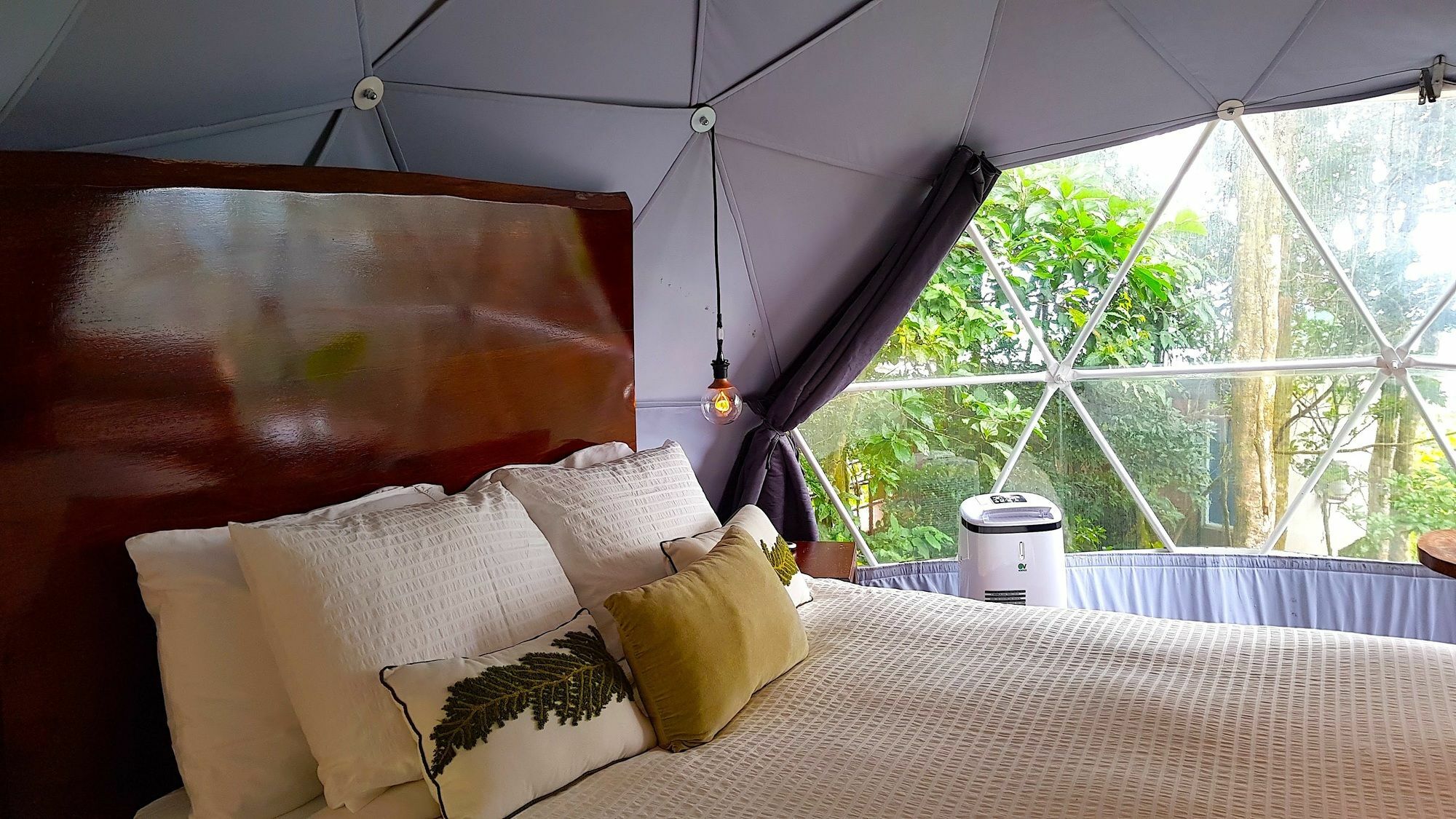 Chira Glamping Resort Monteverde Zewnętrze zdjęcie