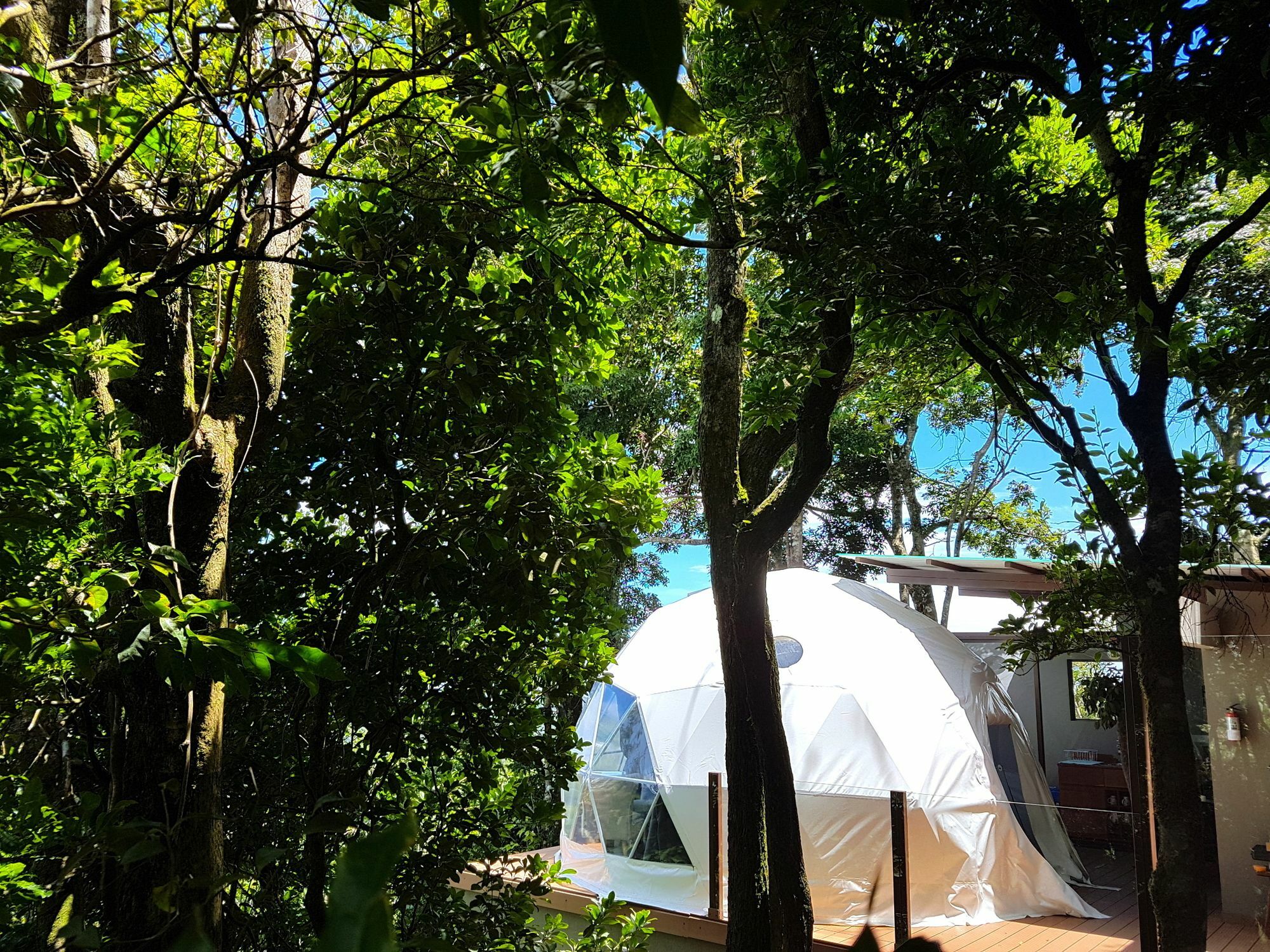 Chira Glamping Resort Monteverde Zewnętrze zdjęcie