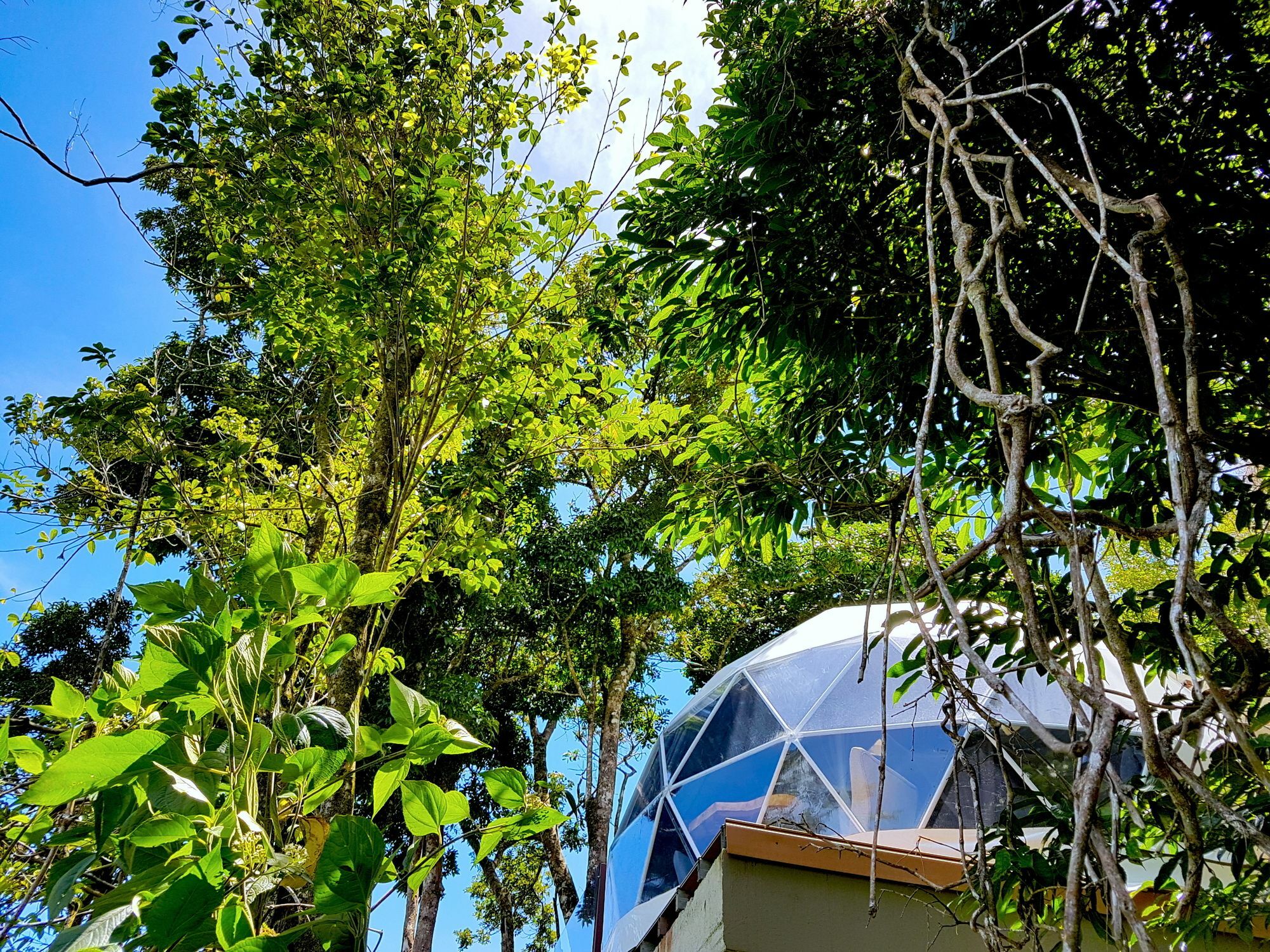 Chira Glamping Resort Monteverde Zewnętrze zdjęcie